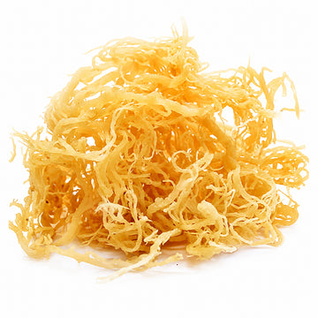Irish Moss