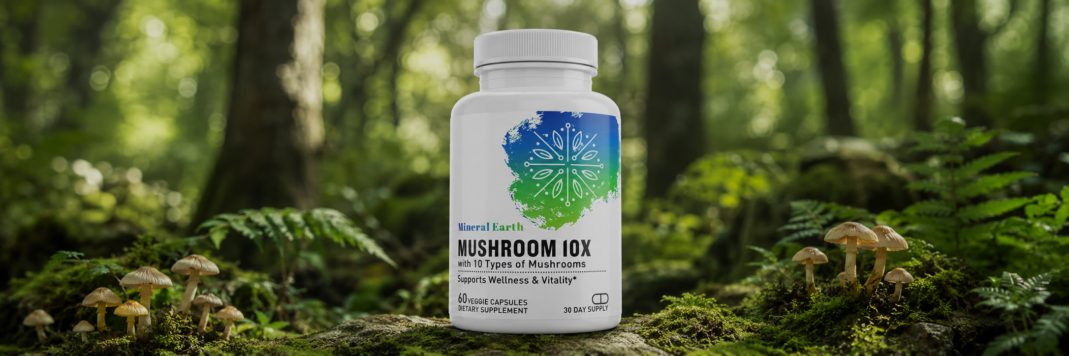 Ten mushrooms, one daily ritual