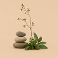 Stacked stones with fresh herbs and a dried botanical stem on a beige background
