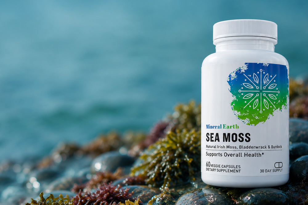 Mineral Earth Sea Moss supplement bottle on coastal stones with seaweed