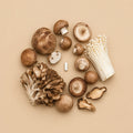 Various fresh and dried mushrooms arranged around a white supplement capsule on a beige background